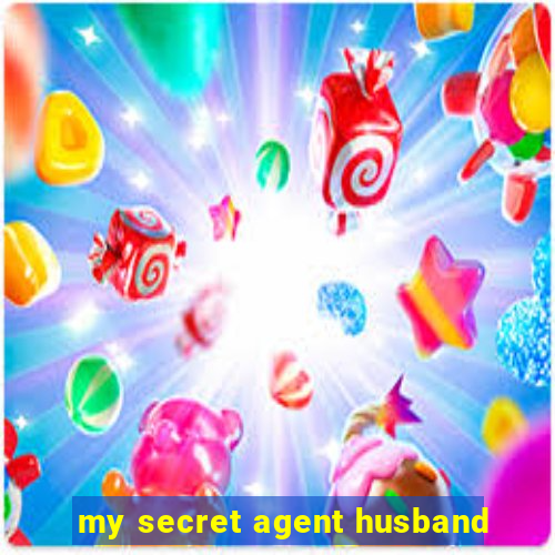 my secret agent husband